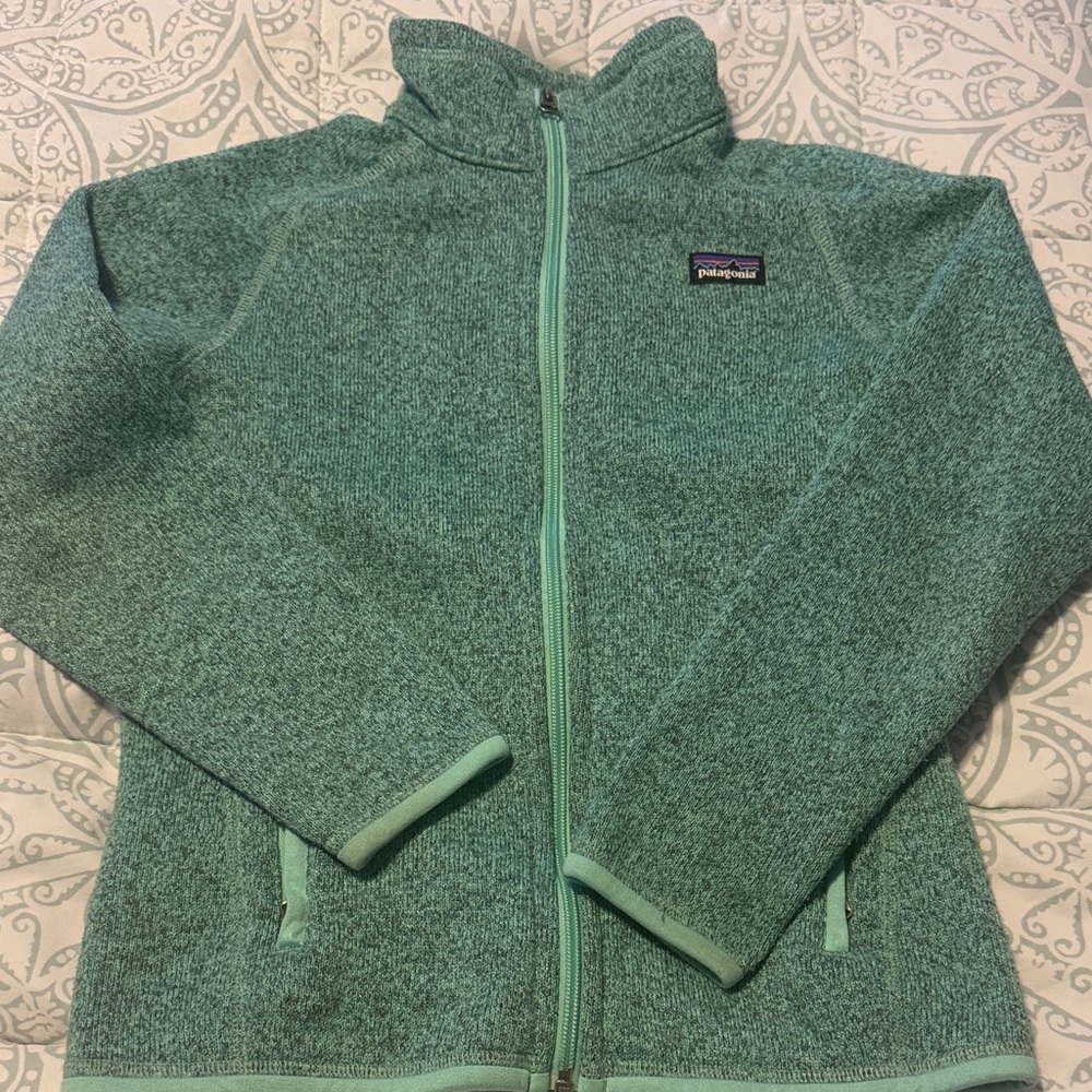 Patagonia Teal Green Heather Full-Zip Teddy Fleece Jacket